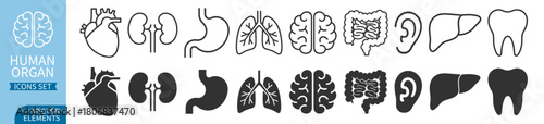 Human organ icon set with heart, lungs, brain, kidneys, liver, stomach and dental elements on transparent background