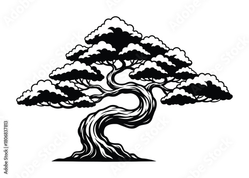 Isolated black and white bonsai tree vector illustration design art eps silhouette