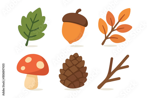 Autumn nature collection featuring leaves, acorns, and mushrooms. Set of 6 vector illustration