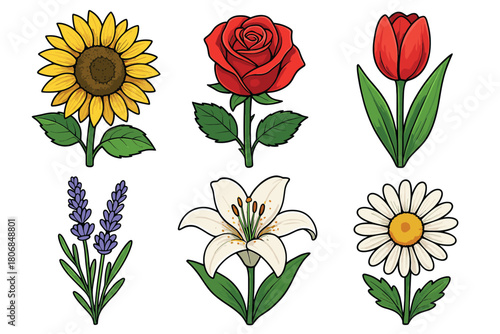Colorful floral arrangement featuring different types of flowers. Set of 6 vector illustration