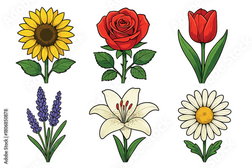Colorful floral arrangement in diverse styles. Set of 6 vector illustration