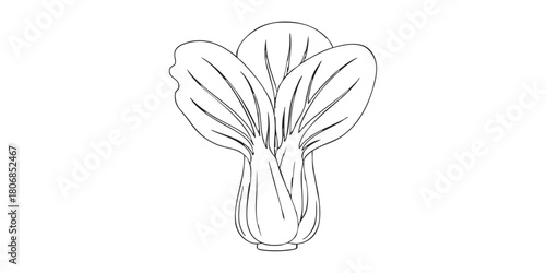 Minimalist bok choy outline icon