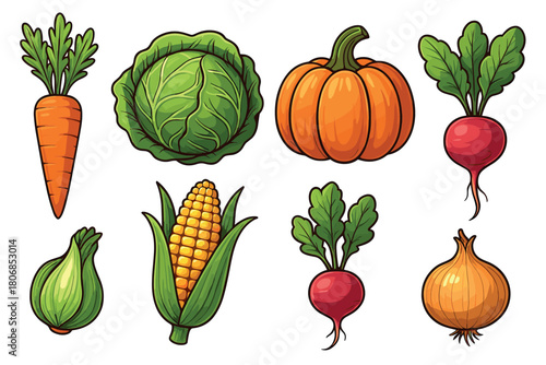 Colorful collection of fresh vegetables for healthy eating. Set of 6 vector illustration