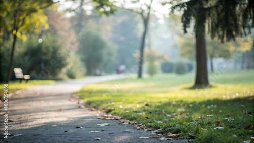Fototapeta Naklejka Na Ścianę i Meble -  blur natural and light background in the park.tree, park, road, nature, trees, forest, landscape, grass, path, spring, alley, autumn, leaves, outdoor, way, pathway, summer, season, garden, lawn, stree