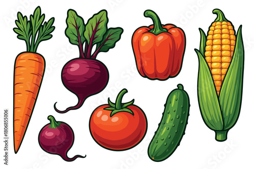 Fresh garden vegetables assortment for healthy eating ideas. Set of 6 vector illustration