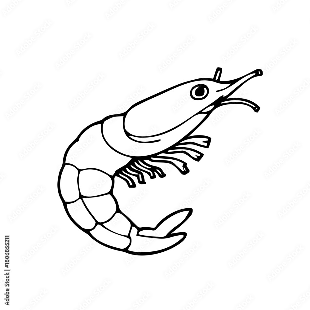 Naklejka premium Food & Kitchen – Thick Outline BW – shrimp outline
