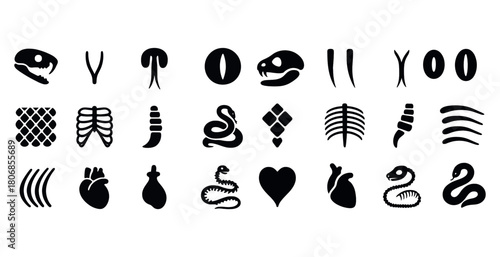 Snake anatomy icons: skulls, skeletons, hearts, scales, and symb
