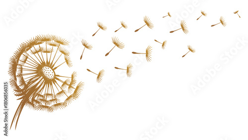 A delicate dandelion vector art on a white background, featuring fine lines and soft details. The floating seeds evoke a sense of freedom, renewal, and nature's fleeting beauty in a minimalist design.