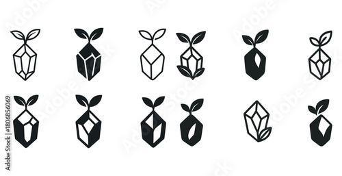 Geometric seedlings with leaves in black and white vector design