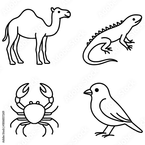 Outline drawings of four animals: a camel (Camelus), an iguana (Iguana iguana), a crab (Brachyura)