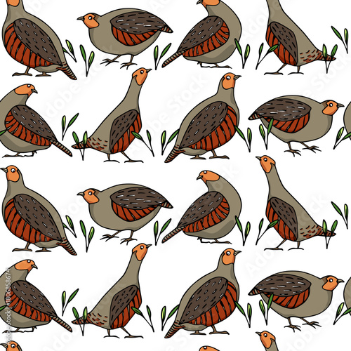 Vector seamless pattern with hand drawn flock of cute Grey Partridges on the heath. Beautiful illustration, ink drawing. Perfect for prints and patterns