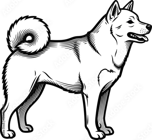 Shiba inu dog breed vector illustration pet animal design drawing art eps silhouette
