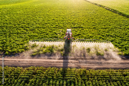 Tractor spraying crops in green agricultural farm field