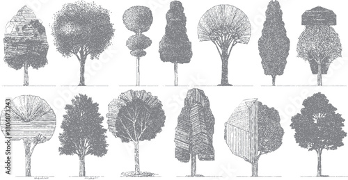 Collection of fourteen detailed grey ink drawings of various stylized trees and foliage on a white background
