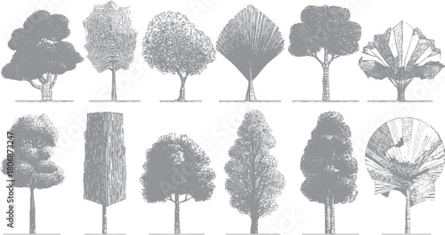 Collection of twelve detailed grey ink sketch illustrations of diverse tree shapes and styles on a white background