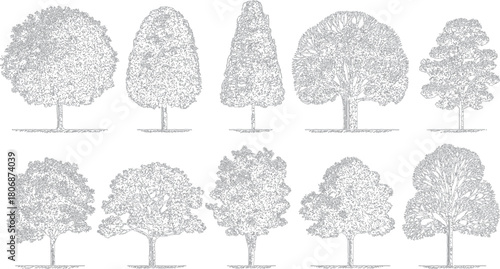 Ten different detailed line art drawings of deciduous and coniferous trees with textured foliage and visible trunks and roots on a white background