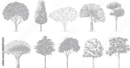 Collection of ten diverse gray stippled trees with varied canopy shapes and trunk structures on a white background