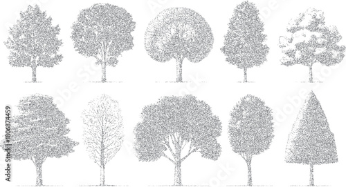 Ten diverse grey stippled trees with varied shapes and branch structures on a white background nature
