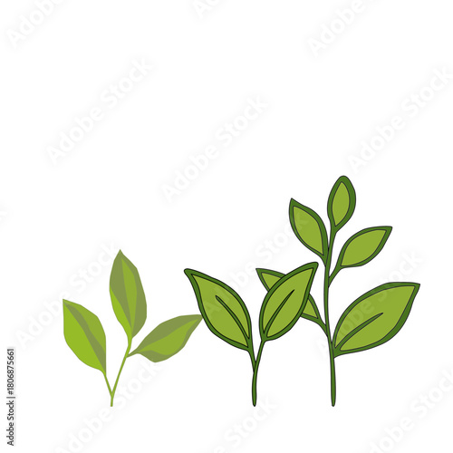 tea leaves pattern background. green leaves vector pattern background. Green tea leaf seamless pattern. seamless patterns with green leaves of tea