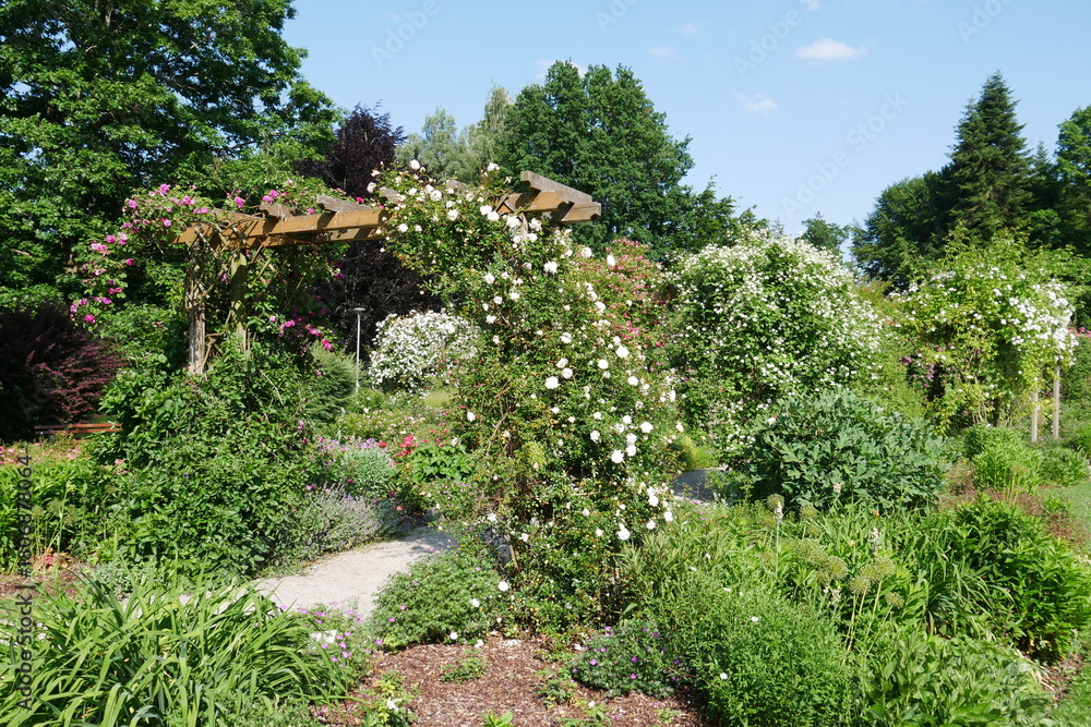 Naklejka premium Kurpark in Bad Wörishofen mit Rosen