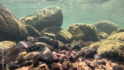 Small fish pack under blue fresh water, xiapu, fujian province China. High quality FullHD footage