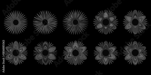 Ten gray scale flower designs on a black background floral pattern