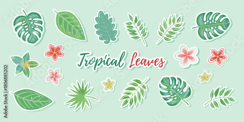Collection of tropical leaves and flowers in cartoon style on light green