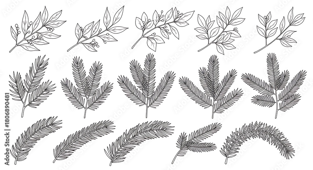 Fototapeta premium Line Art Illustrations of Various Plant Branches whisk photo