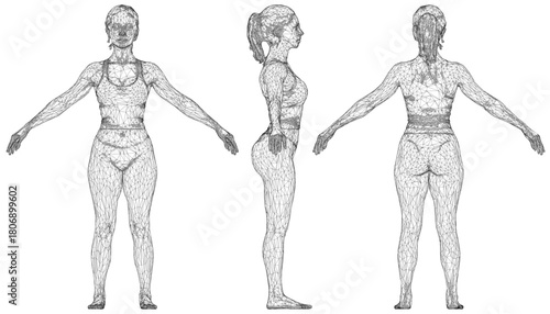 A female 3D wireframe model with outstretched arms, wearing a shirt and underwear, composed of intricate geometric shapes and lines against a white background.