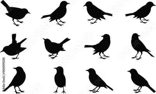 Bird silhouette illustration set, flying and standing poses, avian icon grid, nature graphic, wildlife symbol, feathered shape design