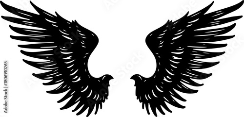 Decorative Angel Wings Black and White Illustration