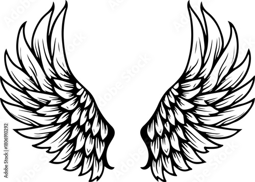 Decorative Angel Wings Black and White Illustration