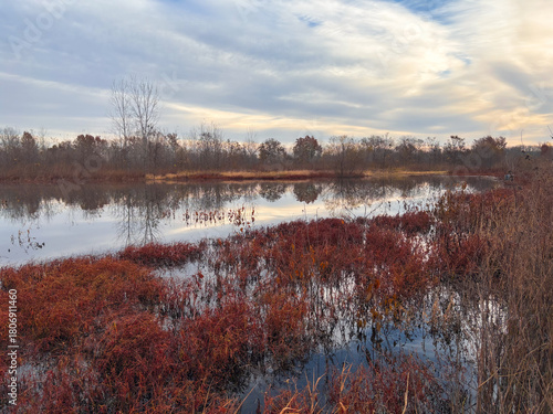 autumn on the marshes of the Mississippi River in Missouri 