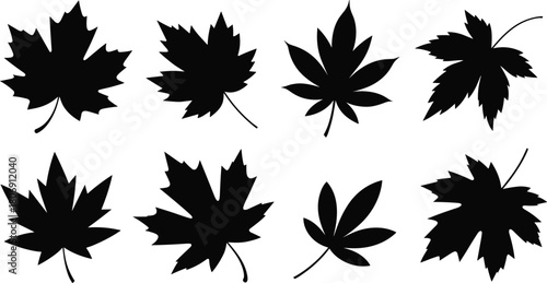 Leaf silhouette illustration set, botanical shapes and vein patterns, foliage icons, nature graphic, plant species symbol, garden design