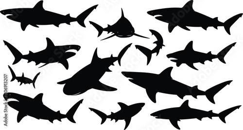 Shark silhouette illustration set, hammerhead and streamlined species icons, marine predator graphic, ocean wildlife symbol, aquatic design