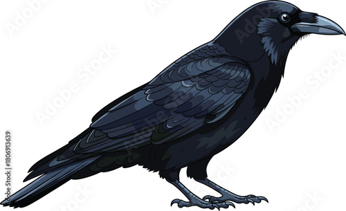 Realistic Black Crow Vector Illustration with Detailed Feathers and Beak, Representing Wildlife, Mystery, Intelligence, and Nature, Ideal for Dark and Gothic Designs
