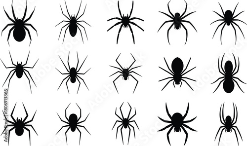 Spider silhouette illustration set, crawling and standing poses, arachnid icons, nature graphic, insect symbol, wildlife shape design