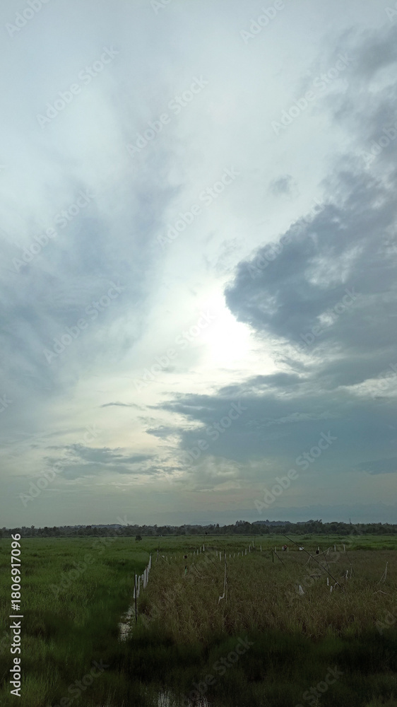 Fototapeta premium clouds over the field
