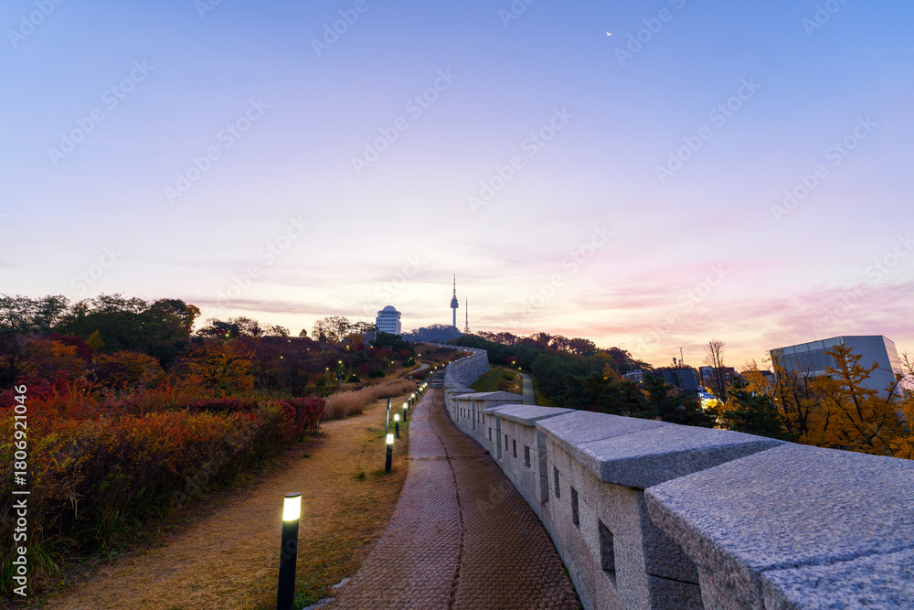 Obraz premium Namsan park at Autumn in South Korea.