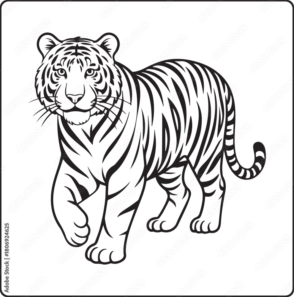 Obraz premium A beautiful tiger walking black outline vector illustration coloring book for kids