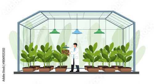 Scientist examines plant diseases in a greenhouse, studying crop health and potential treatments