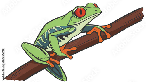 Red eyed tree frog vector illustration on branch animal amphibian tropical wildlife rainforest cartoon drawing