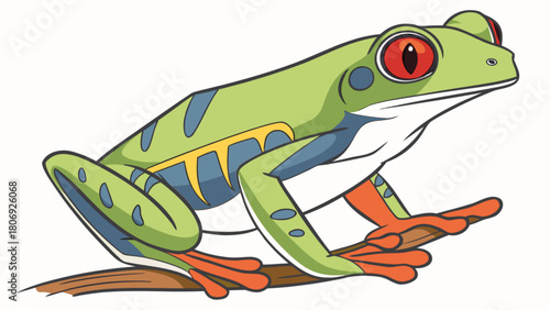 Red eyed tree frog illustration amphibian rainforest animal exotic wildlife tropical nature drawing cartoon vector