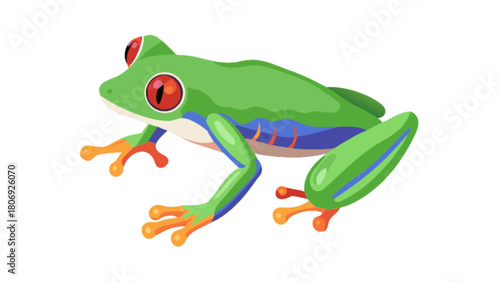 Illustration of a red eyed tree frog amphibian exotic animal tropical rainforest wildlife vector graphic design
