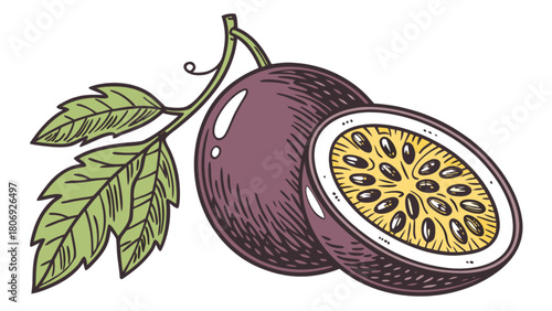 Passion fruit illustration vector graphic of tropical fruit with leaf and cut half for exotic food design