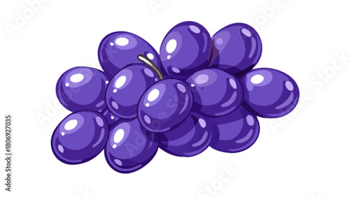Delicious purple grapes illustration for healthy eating and fresh fruit design element for your project