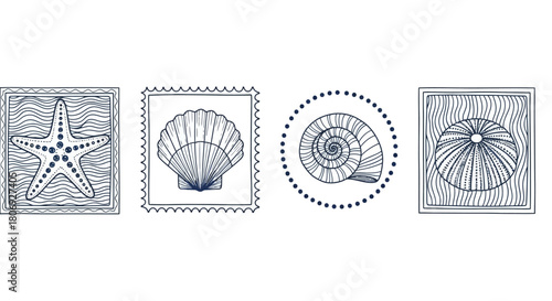 Nautical Wonders Detailed Line Art of Seashells and Starfish in Square Frames