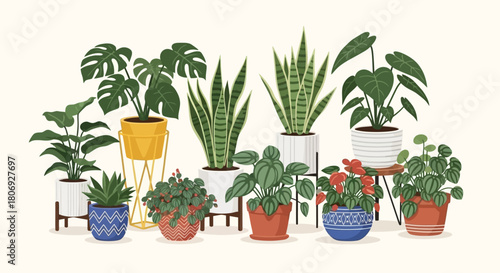 Indoor Plant Collection Stylish Houseplant Arrangement in Pots