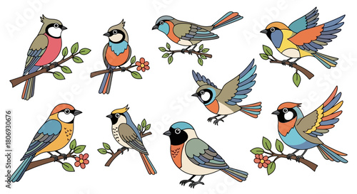 Colorful Illustrations of Various Bird Species Perched on Branches with Flowers, Vector Graphic