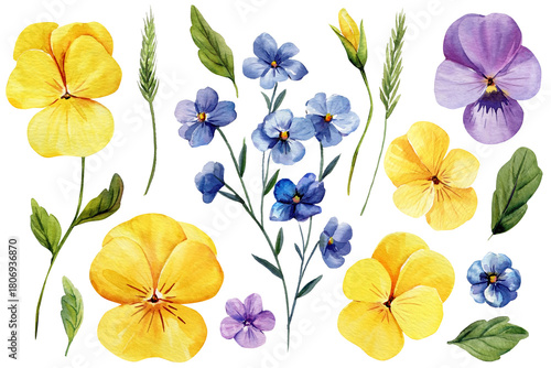 Watercolor pansies and blue wildflowers with green leaves and botanical stems for bright spring floral design elements set